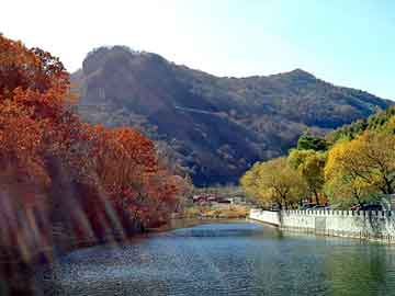 新澳天天开奖资料大全旅游团，名门小情人